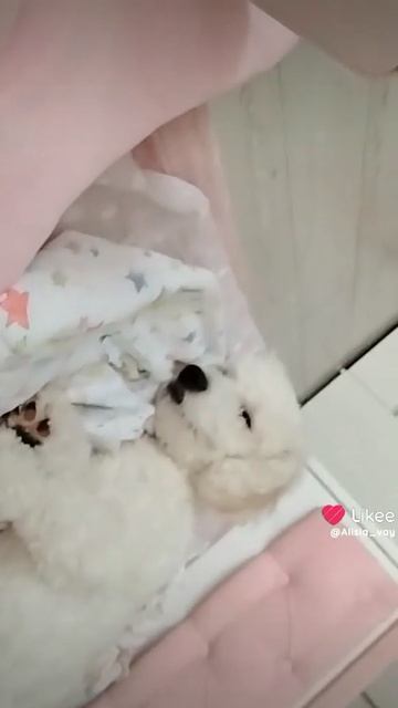 ннннннгнннннннннн