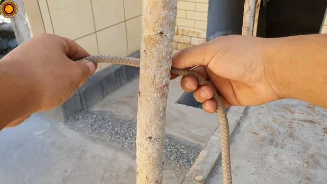 The functions of 2 wonderful nodes in everyday life