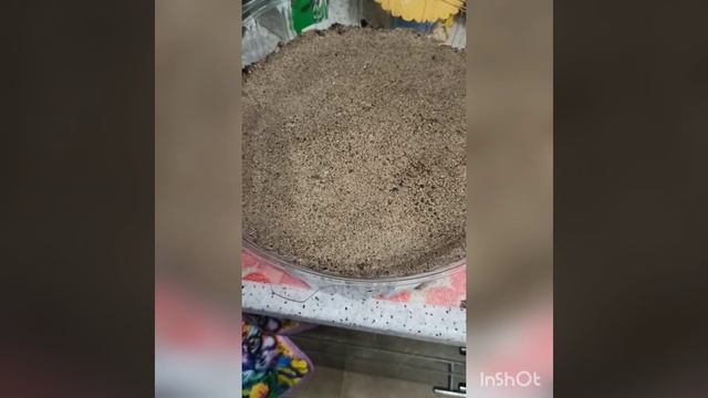 Кофе! и снова кофе! 23 мая 2025г.