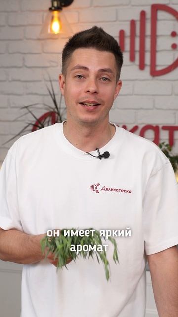 Что такое эстрагон?
