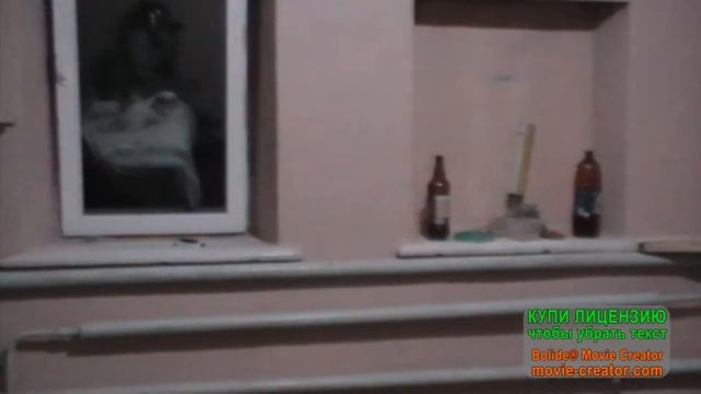 Успеть за день