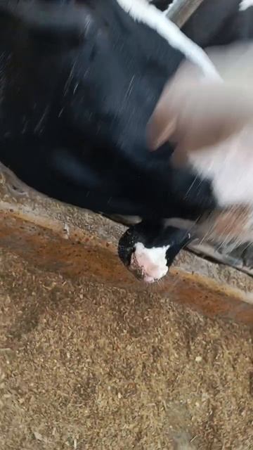 1000002148.mp4
