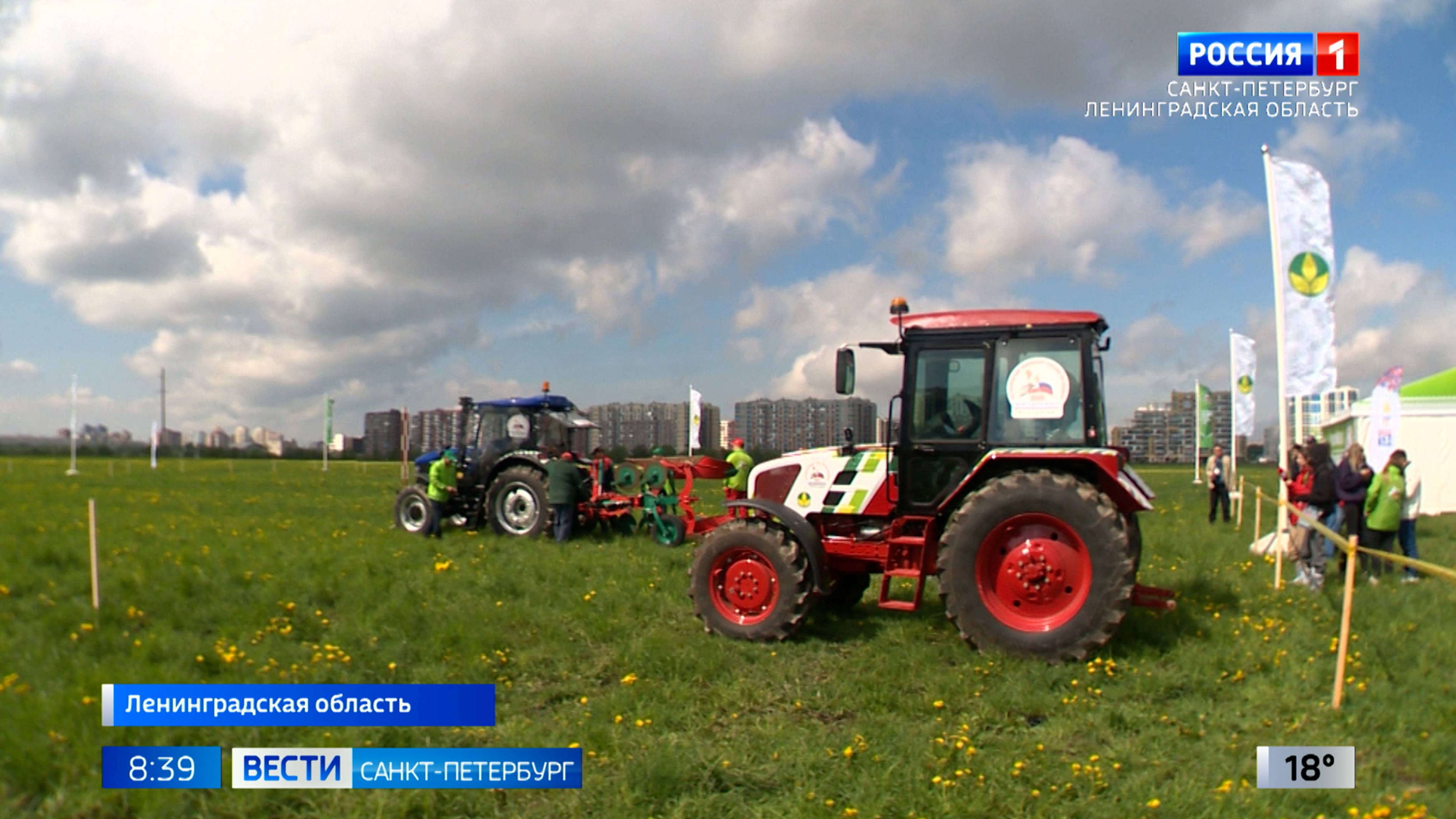Вести Санкт-Петербург. Выпуск 08.35 от 29.05.2025