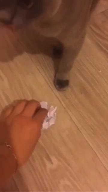 Ты знаешь кому это отправить