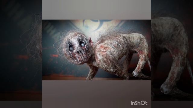 InShot_20230602_092449297.mp4