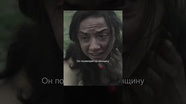 Как собаки
