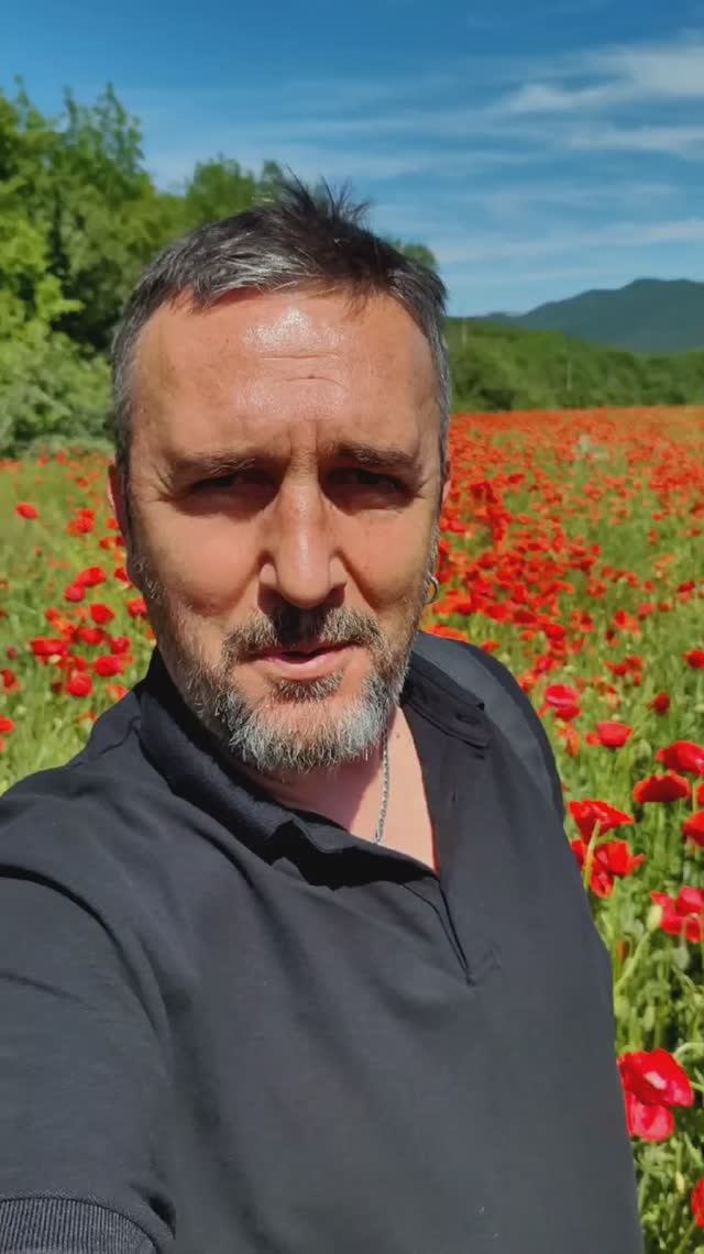 Маковое поле рядом с городом Судак. Май 2025. Крым