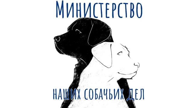 Груминг животных Главные вопросы и принципы [get-save.com]