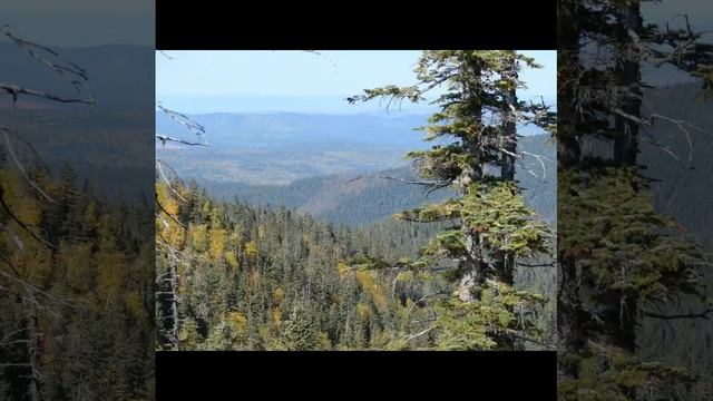 День за днем и каждое мгновенье
