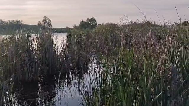 Будни егеря.Рыбалка 🎣 в Мордовской Селидьбе. 29.05.25