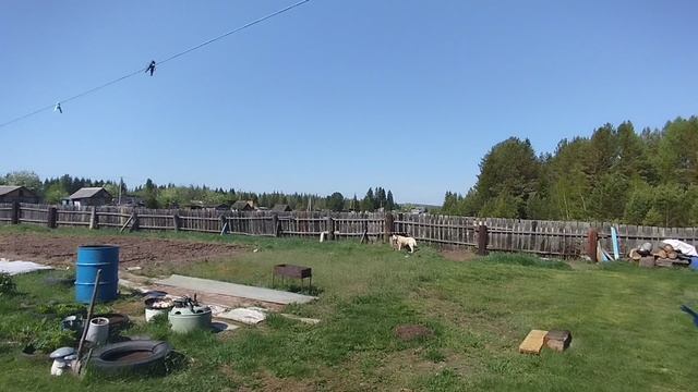 Посадили лук ,чеснок и морковь!Огородные хлопоты.Обзор/
