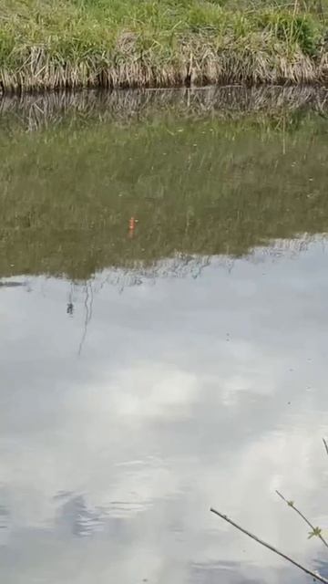 Рыбачим на солнце: Летние приключения на водоеме