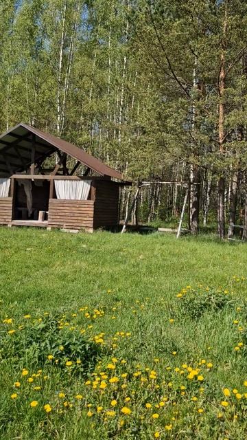 деревня Новый Бор