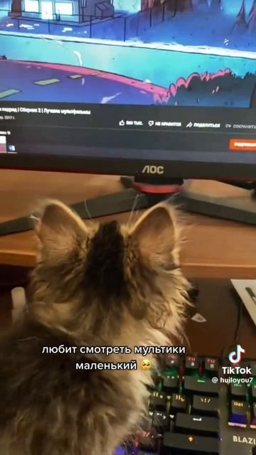 милота😍