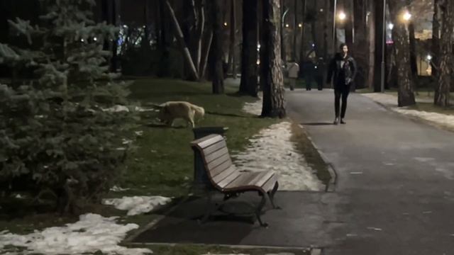 ep. 6.2 — ekaterinburg // быстрое восстановление, йога, дом, запи