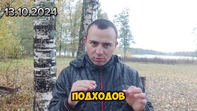 «Отжимания от 0 до ...»  Техника отжиманий с уменьшением