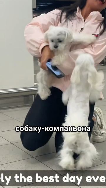 Мальтипу