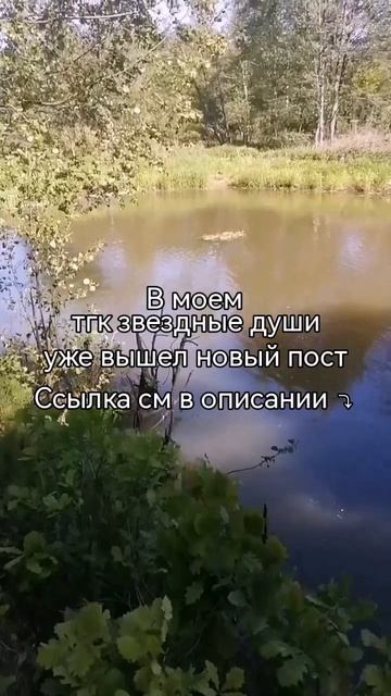 В тгк звездные души опубликовала новый пост🫶