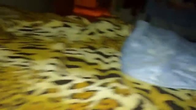 Ночь в ЗАКРЫТОЙ КВАРТИРЕ!Я ПРОНИК! ЧЕЛЕНДЖ!ЖЕСТЬ!!!!!The ni