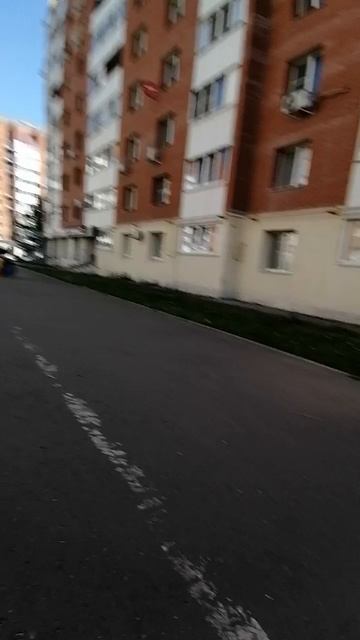 Катаемся на скейтах