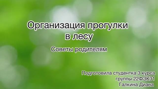 Организация прогулки в лесу