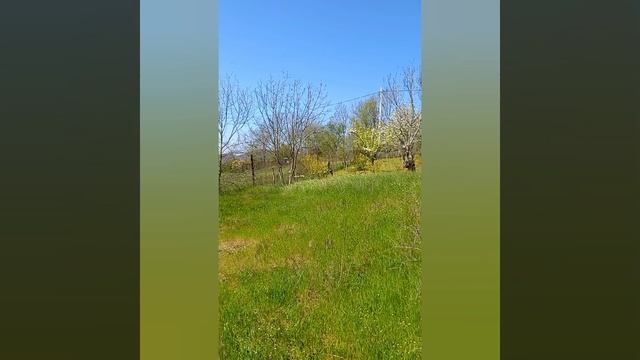 Участок 7 соток в СТ Лесное Озеро г.Новороссийск. Стоимость 900.000 руб.