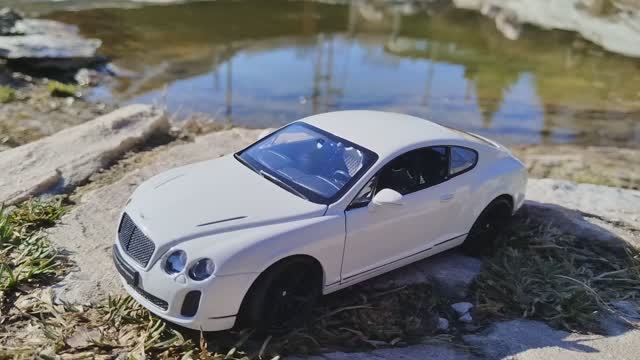 Модель Bentley Continental Supersports от Welly