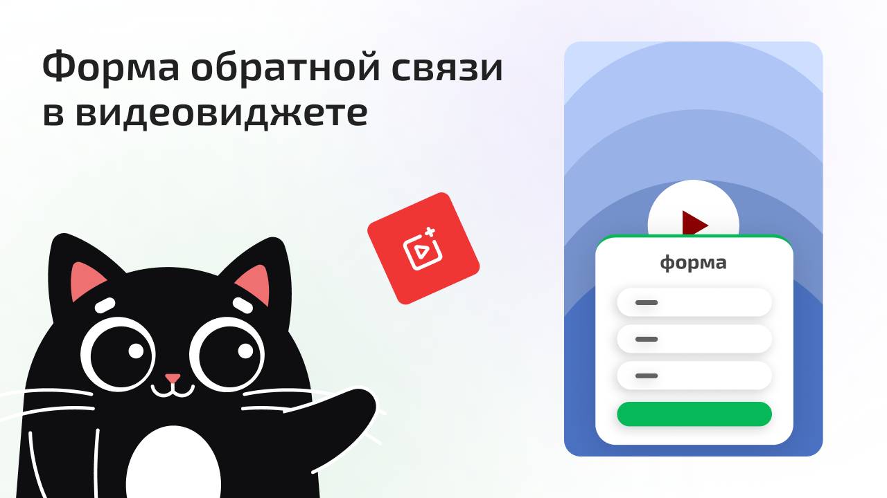 Как создать форму в видеовиджете ?
