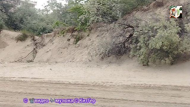 Лето пляж и купаться нельзя