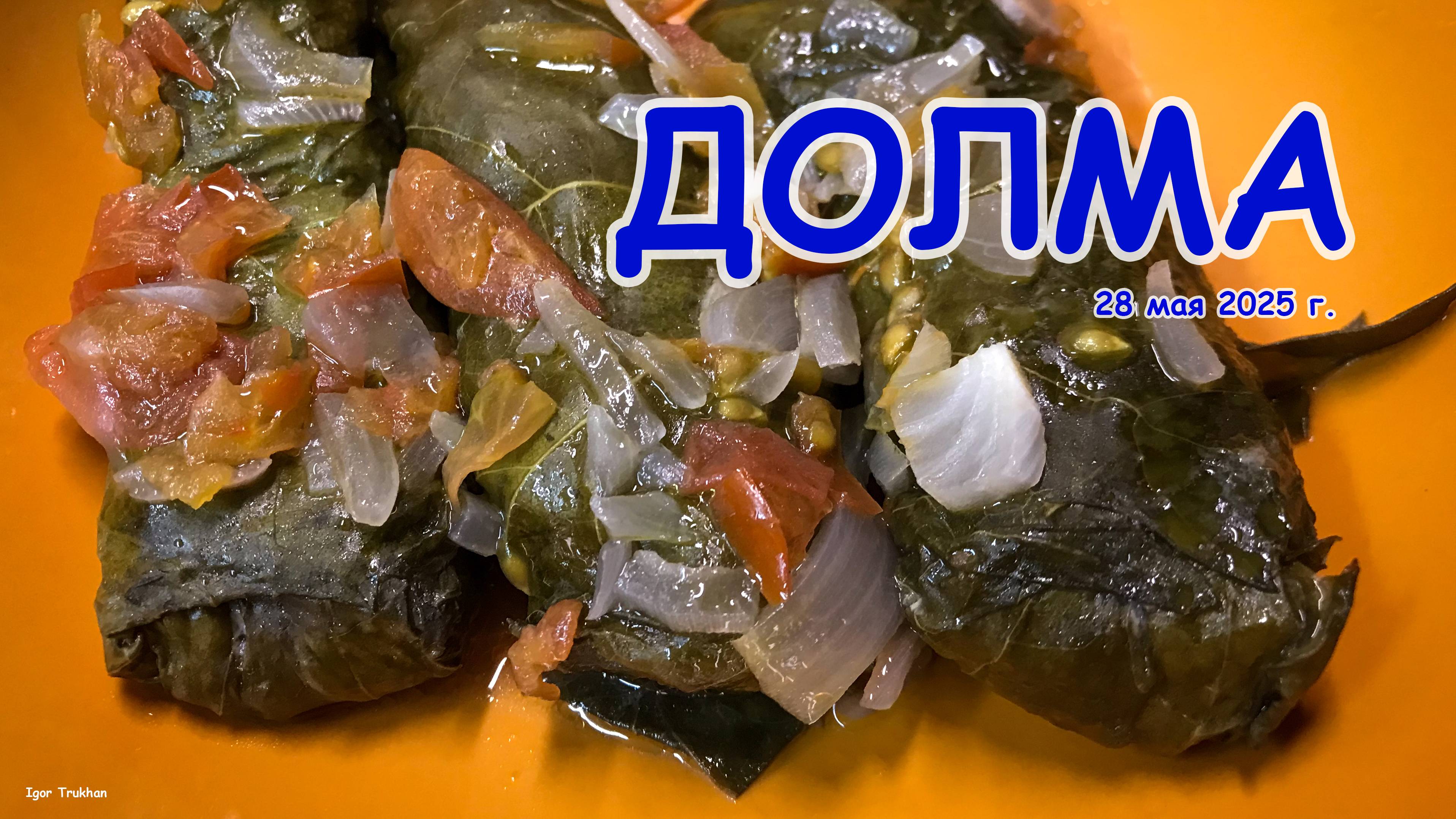 ДОЛМА _ 2025.05.28 🍖