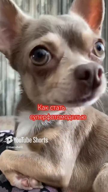 Как стать суперфотомоделью