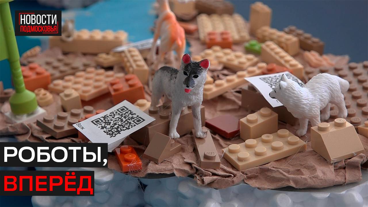 Дошкольники из Истры создали прототип арктической исследовательской станции
