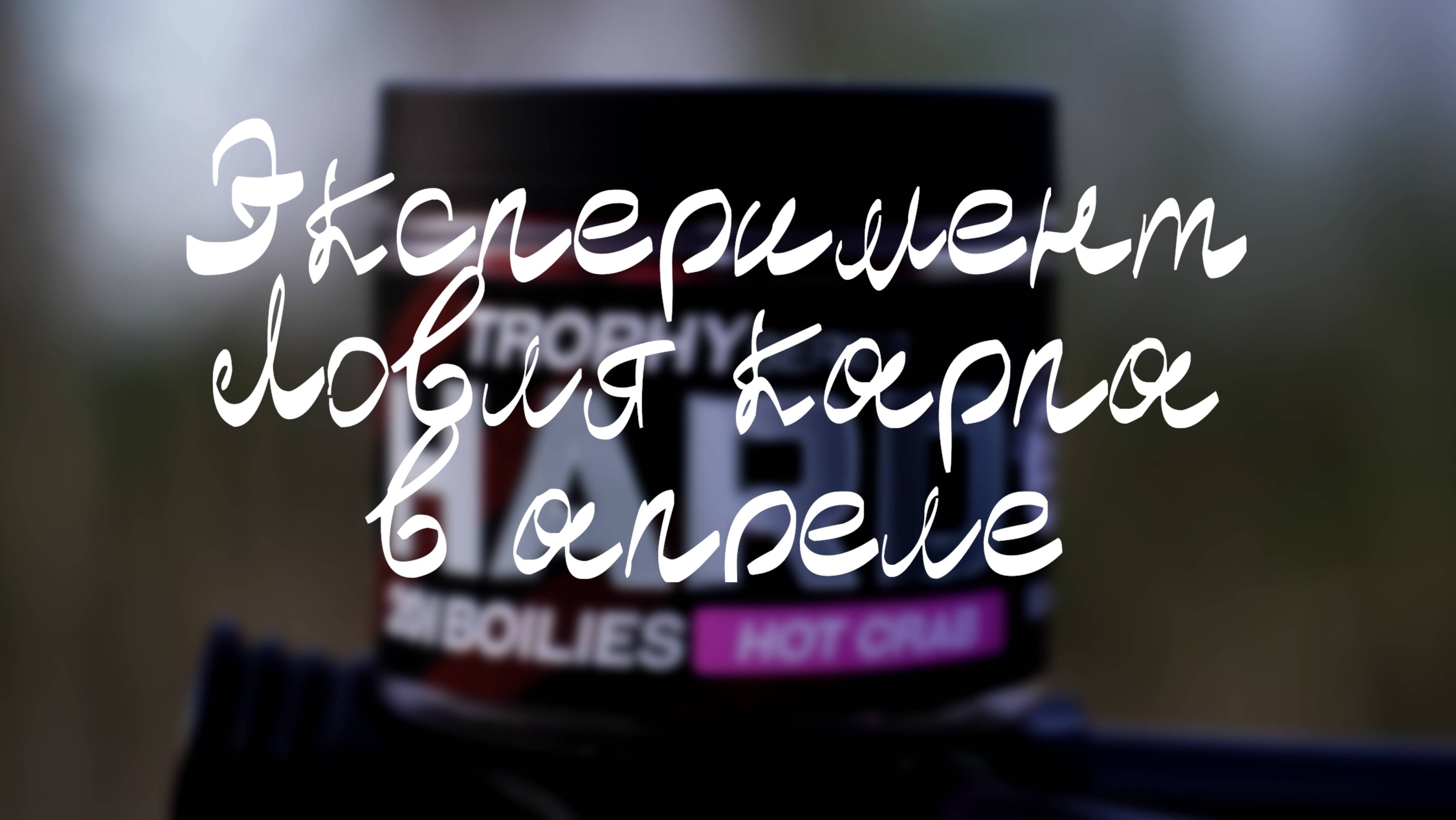 Эксперимент. Ловля карпа в апреле