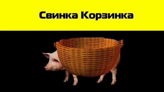 Свинка Корзинка Птичка Резинка Пёс Вертолёт ну и Апельсино Бот! ( Original Meme )