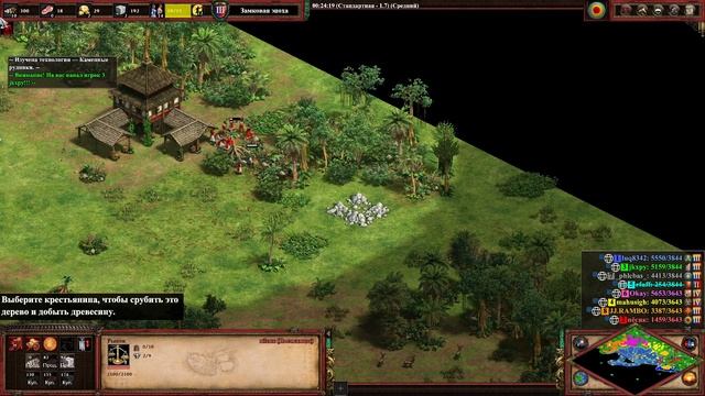 AGE OF EMPIRES 2