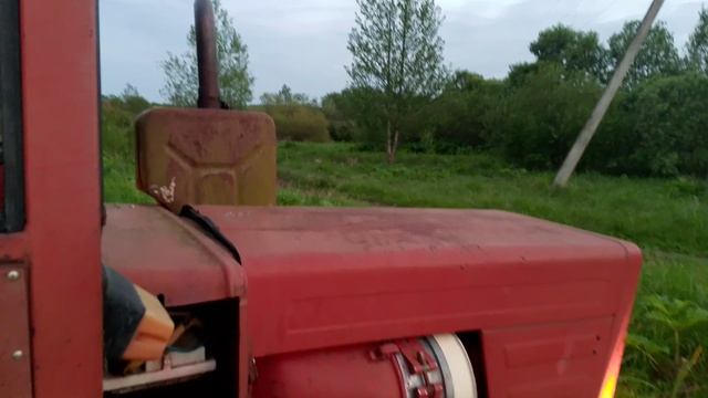 муровей