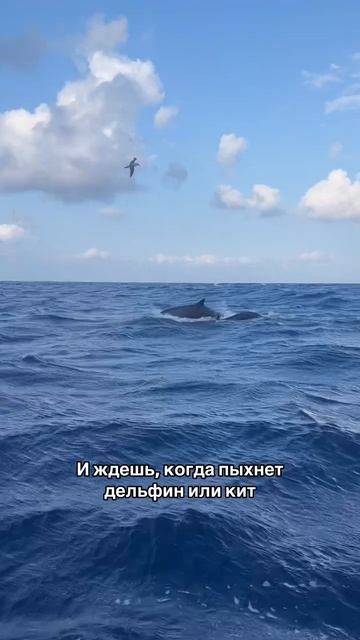 😳Вот это работа!