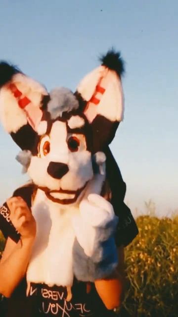 !fake body! #фурри#furry#фурсьют#фурсьютер#маска#mask#фурритоп