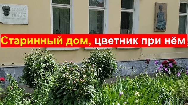 250529 Палисадник цветы клумба Дом революционера Штернберг 22 школа ул Горького Брестская город Орёл