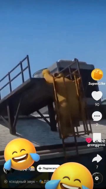 крутой сон