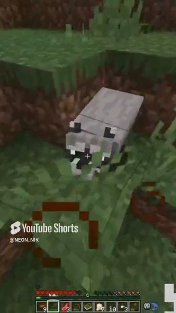 мили енотик. #minecraft #майнкрафт