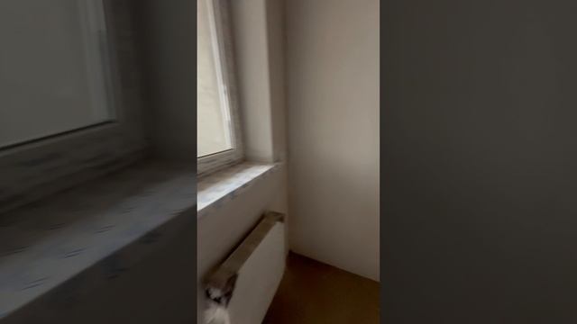 Краснодар,НСИ-Юг,  ул.Стахановская 1/5, 1кв на 11эт цена: 6.200 +7-961-529-44-44