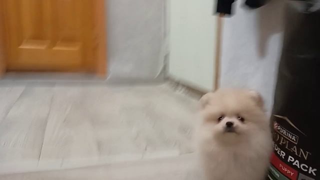 1000094351.mp4