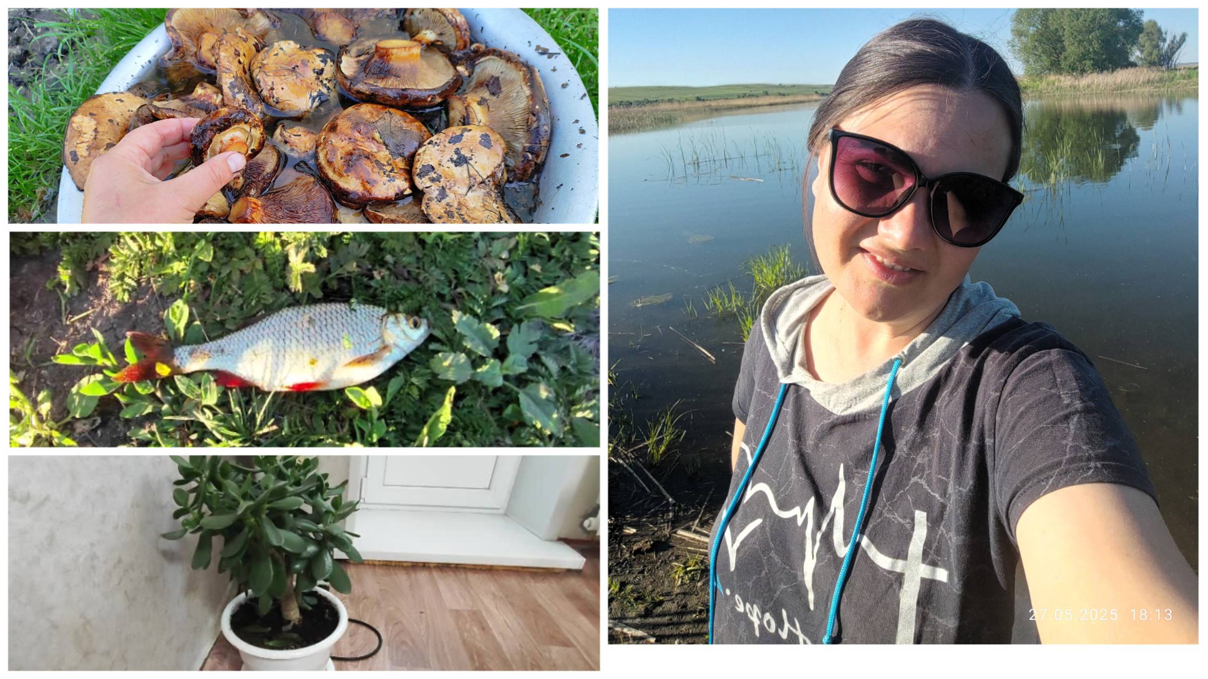 Снова РЫБАЧИМ🐟 | СВИНУШКА🥰 | ДЕГУСТАЦИЯ рыбки👌