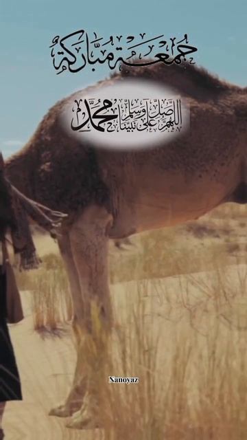 Islamic content for islamic day #jummamubarakstatus #watch islamic content#share islamic video#share