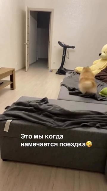 Толик, собирайся, мы едем