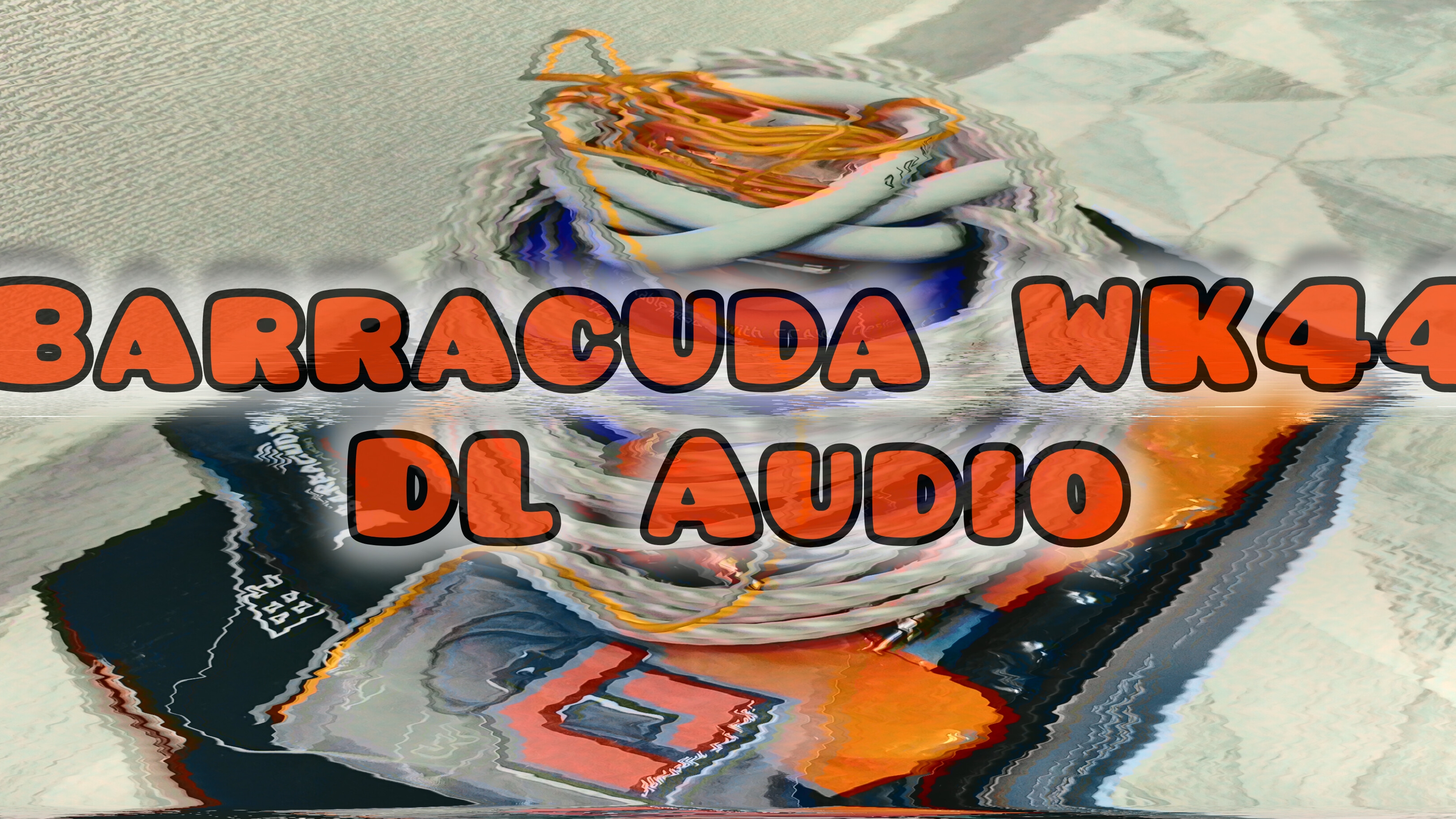 Barracuda WK 44 от DL Audio установочный набор для усилителя