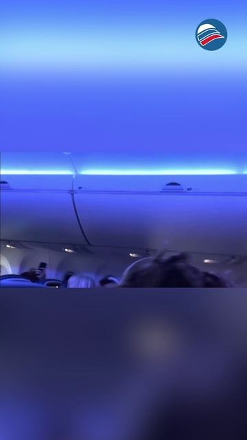 Голуби-безбилетники проникли в салон самолёта и задержали рейс
