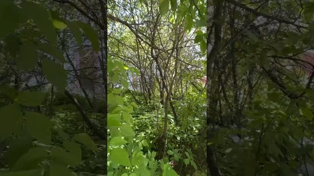 Продаю земельный участок в Нижнем Новгороде