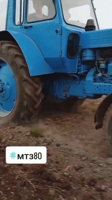 #shorts #shortsvideo #мощь #весна #культивація #мтз80 #сезон2023 #тр?